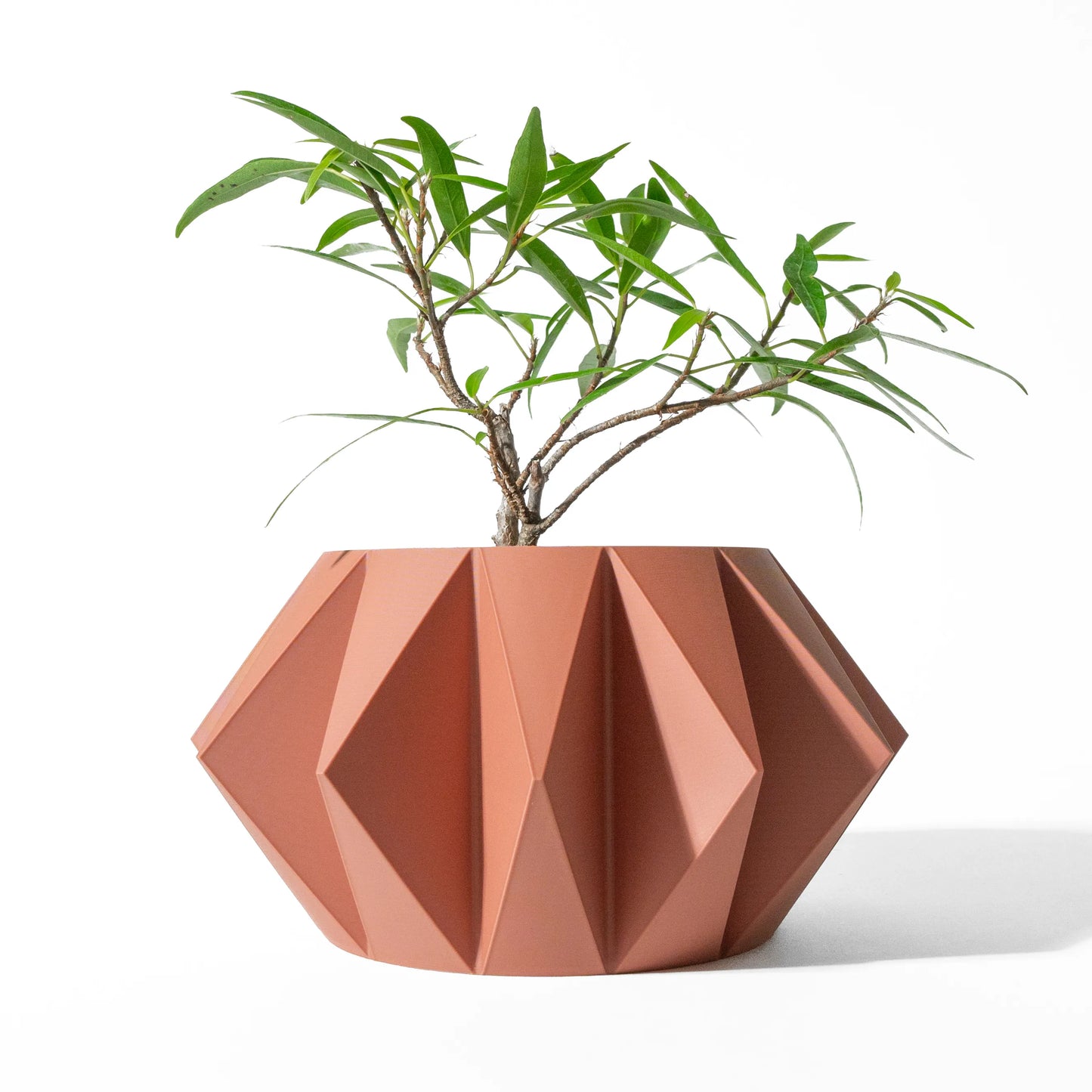 Pot décoratif terracotta en forme géométrique facettée avec segments triangulaires en relief, contenant une plante aux fines