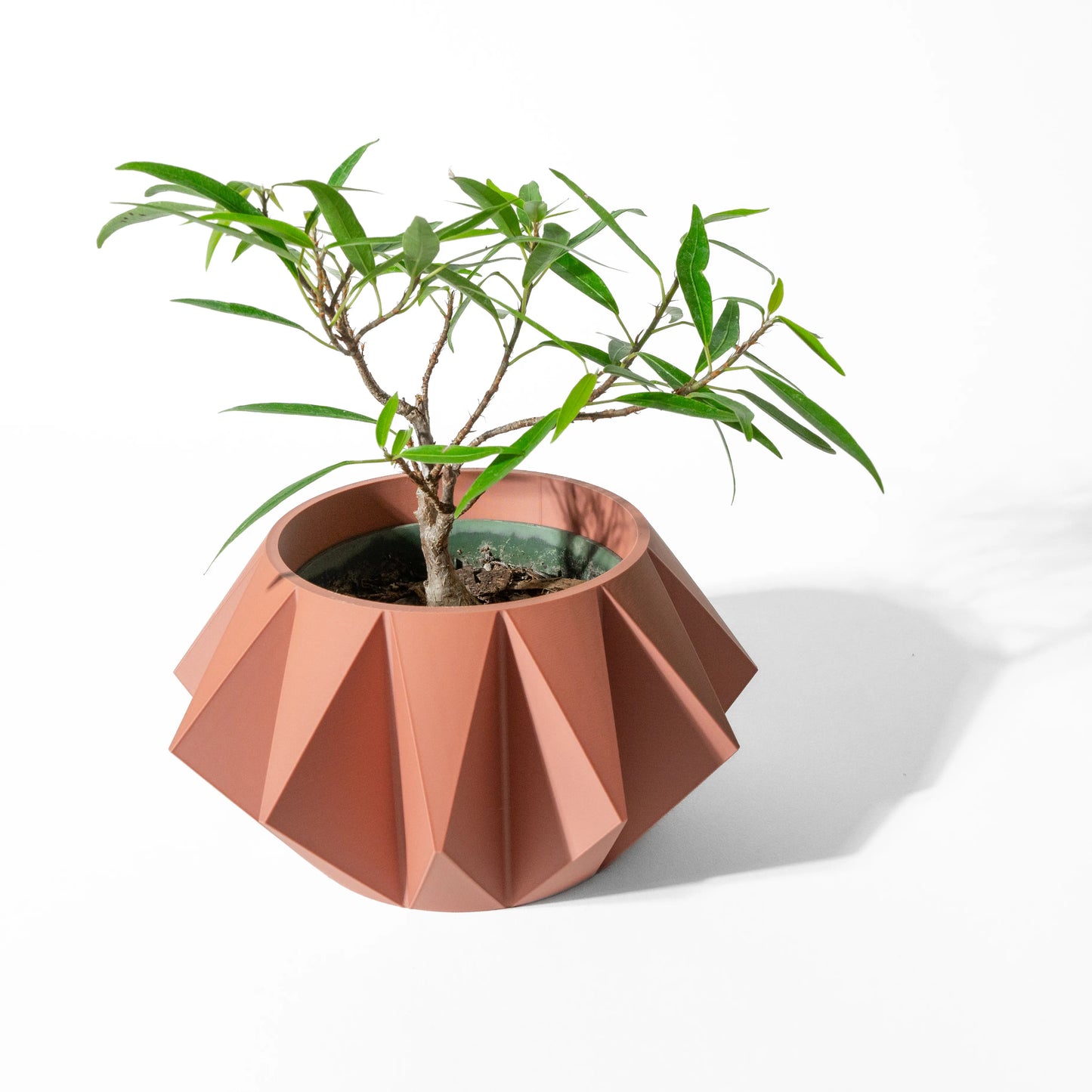 Pot décoratif terracotta en forme géométrique avec facettes angulaires prononcées, contenant une plante verte aux feuilles.