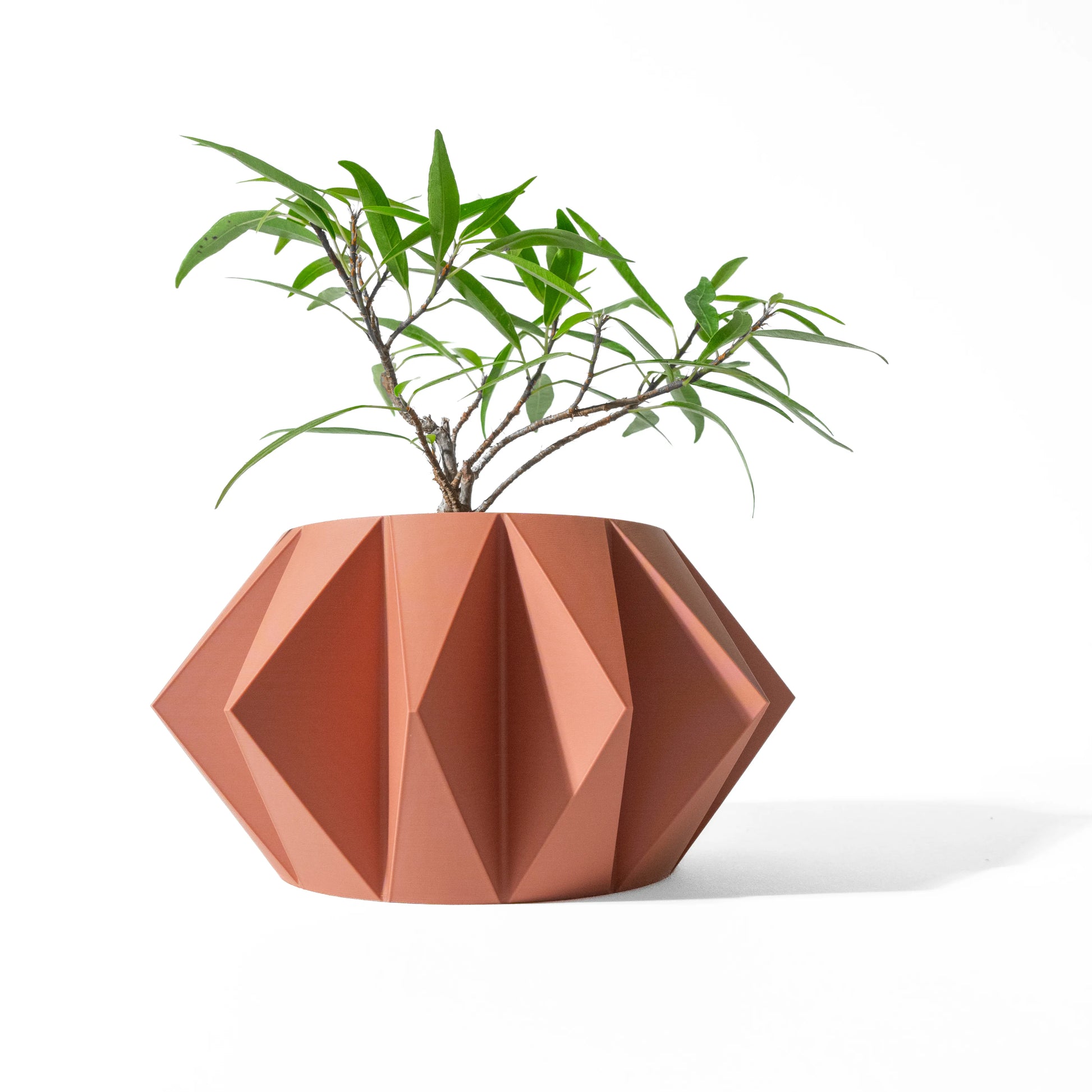 Pot décoratif terracotta mat à motifs géométriques facettés, plante verte fine dépassant du bord.