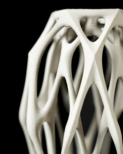 Vaso di fiori secchi di mantide