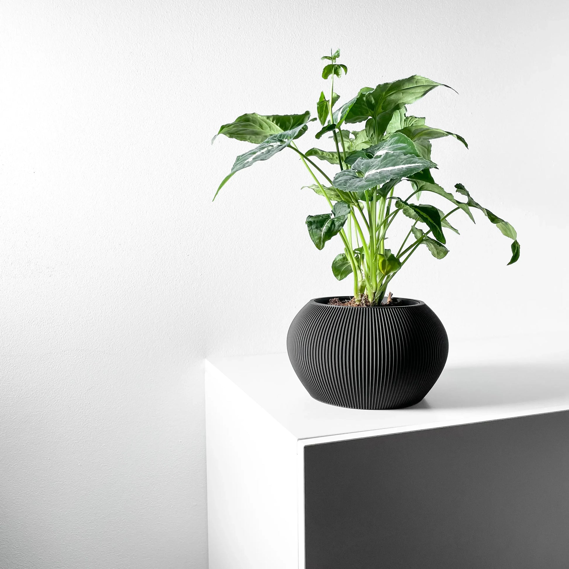 Pot décoratif anthracite en matériau durable avec design contemporain côtelé, plante verte luxuriante à l'intérieur.