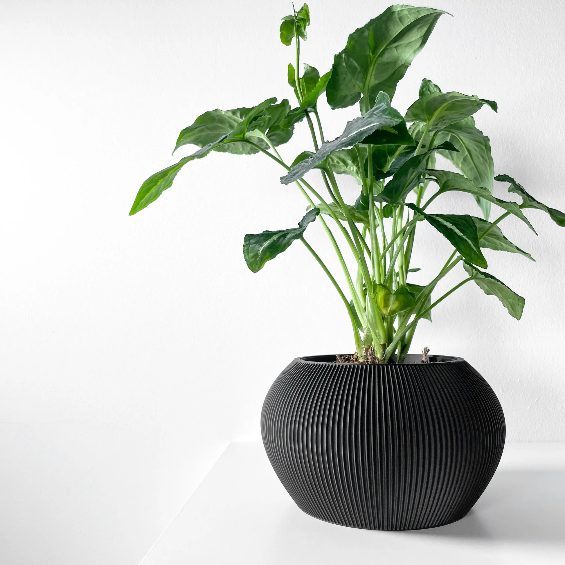 Pot décoratif noir anthracite en matériau durable avec surface striée et design contemporain arrondi.