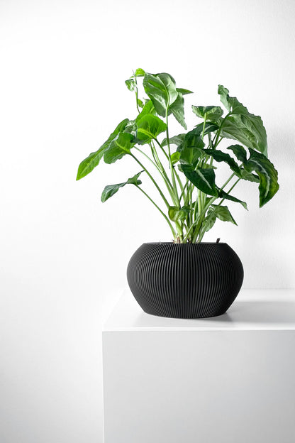 Pot décoratif noir mat en forme arrondie avec surface texturée, contenant une plante verte aux larges feuilles ondulées,.