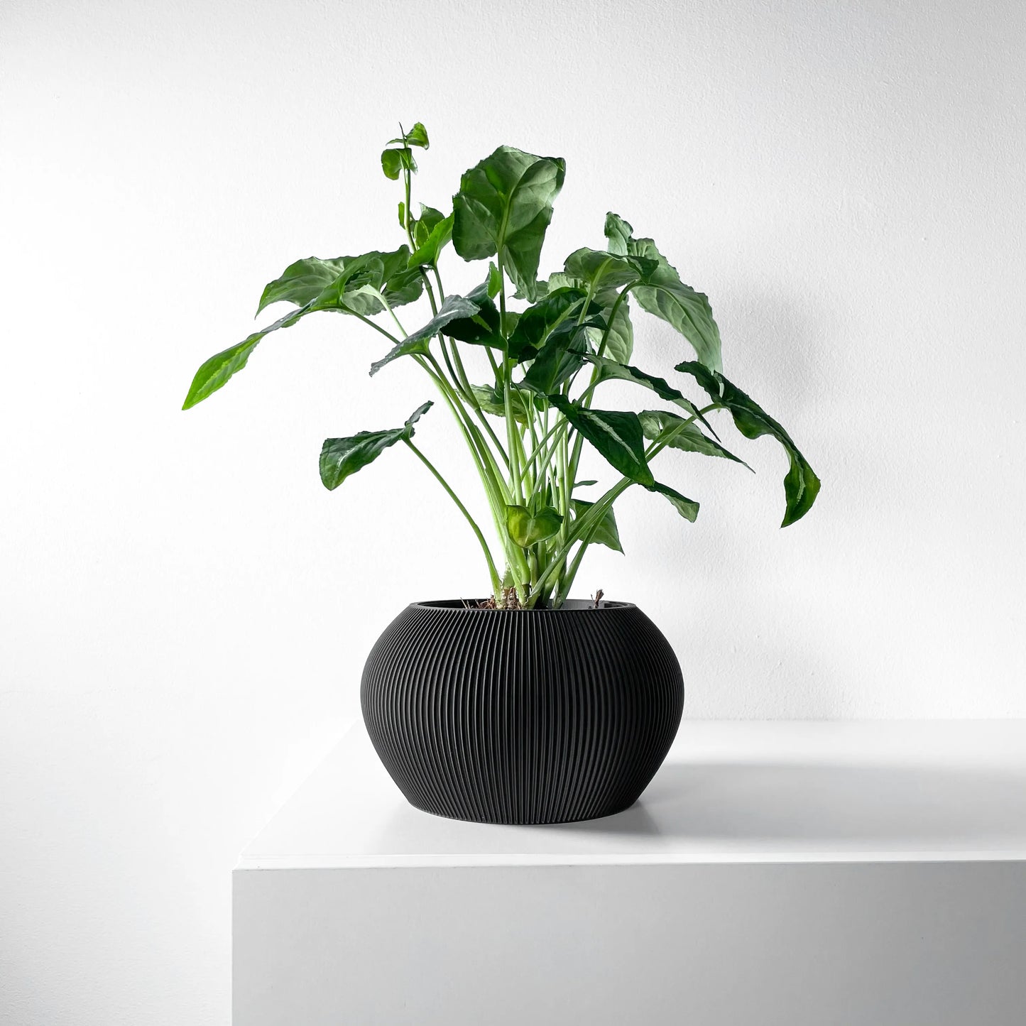 Pot décoratif Melfi noir mat avec surface texturée en rainures verticales, forme ronde et bombée, plante verte luxuriante à.