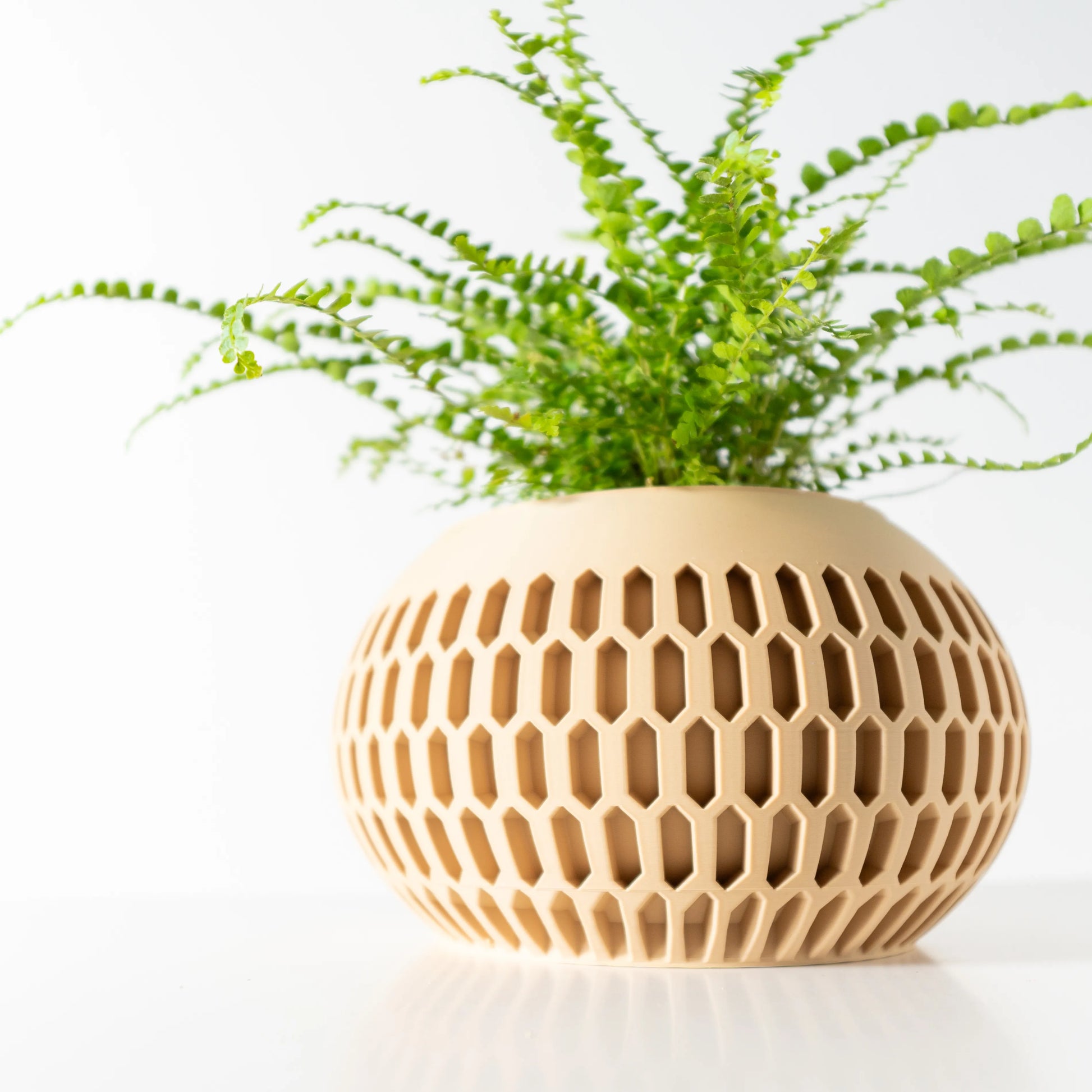 Pot décoratif beige clair en plastique avec motifs hexagonaux ajourés, plante verte à petites feuilles fines.