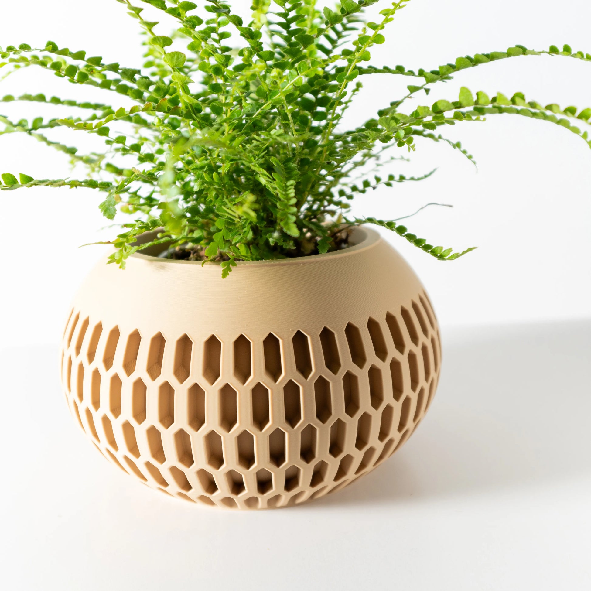 Pot décoratif beige en forme de boule avec motifs hexagonaux ajourés, contenant une fougère verte luxuriante.