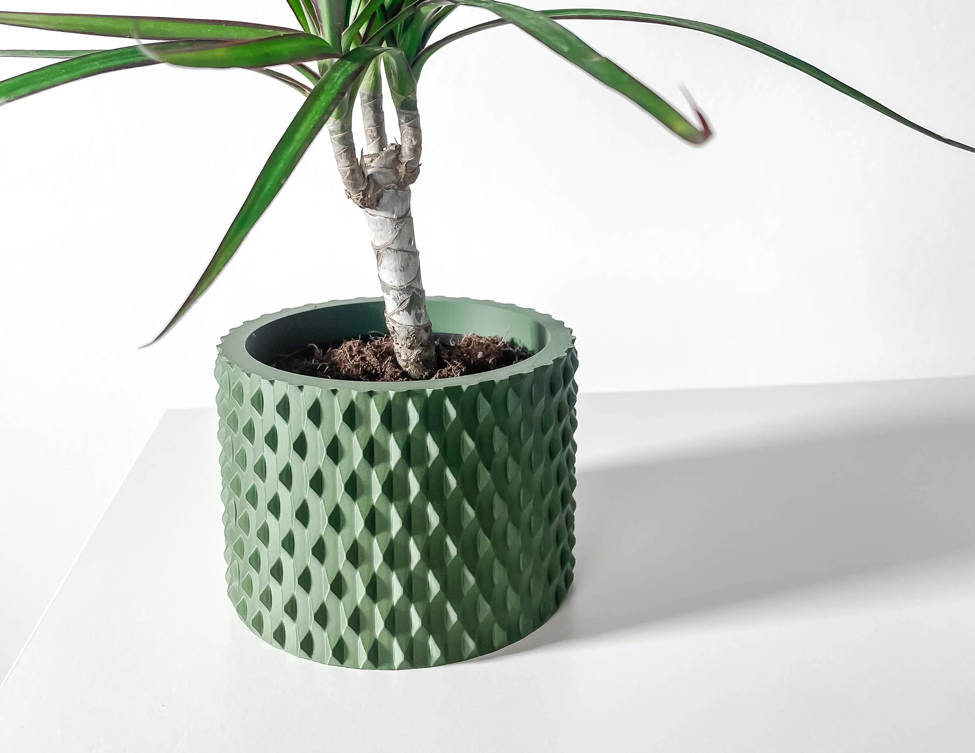 Pot décoratif anthracite en matériau durable à design contemporain avec texture géométrique creusée, plante verte à.