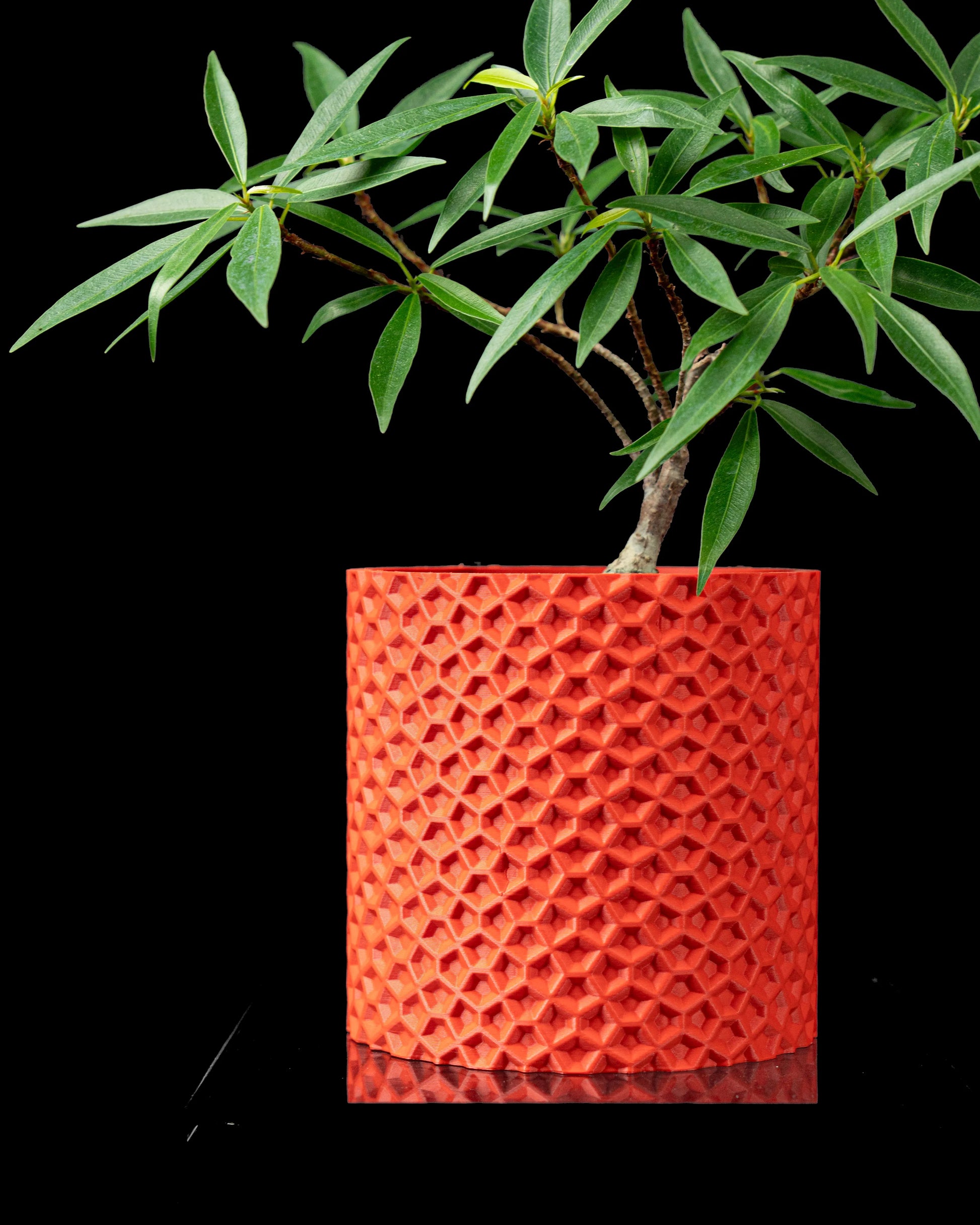 Pot décoratif orange durable au design contemporain avec texture géométrique en relief, plante verte dessus.