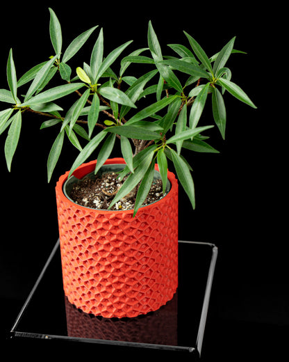 Pot décoratif Ordan rouge en matériau durable avec design contemporain texturé en relief, plante verte dessus.