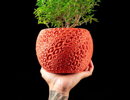 Pot décoratif Pearl