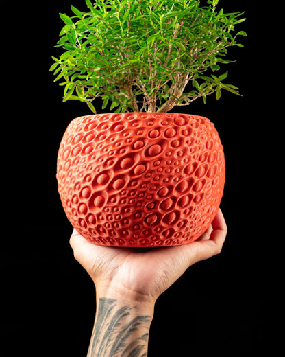 Pot décoratif Pearl