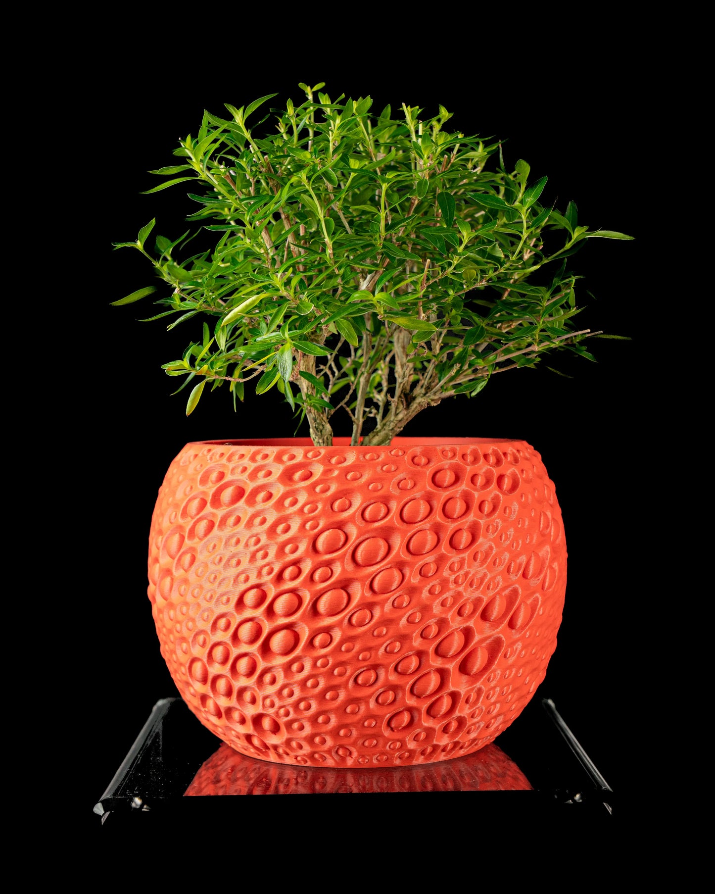 Pot décoratif Pearl