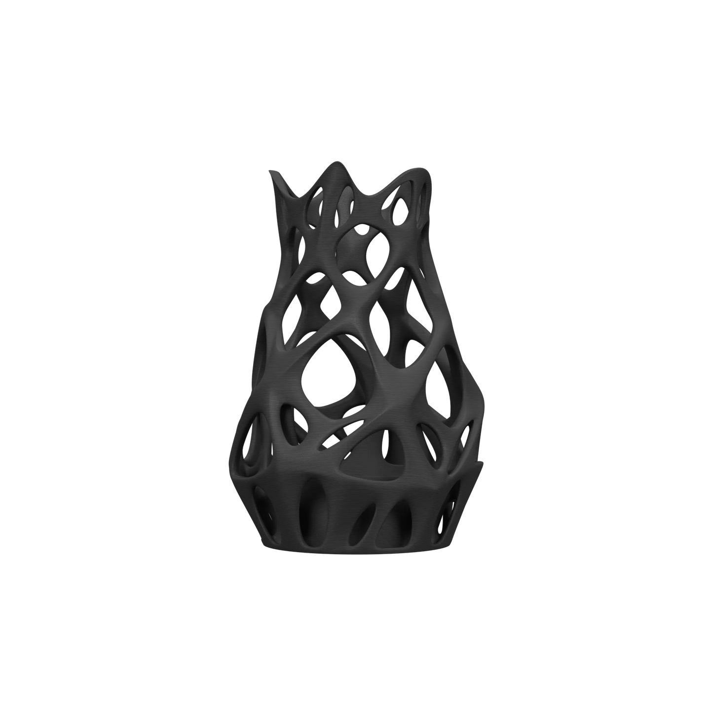 Vase Fleurs Séchées Prime