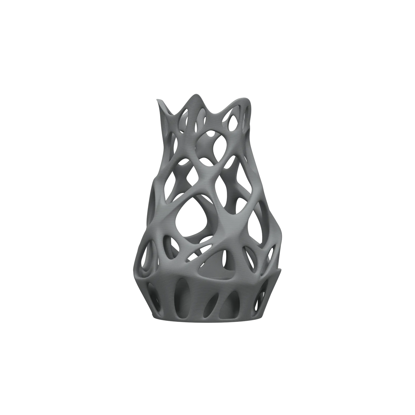 Vase Fleurs Séchées Prime