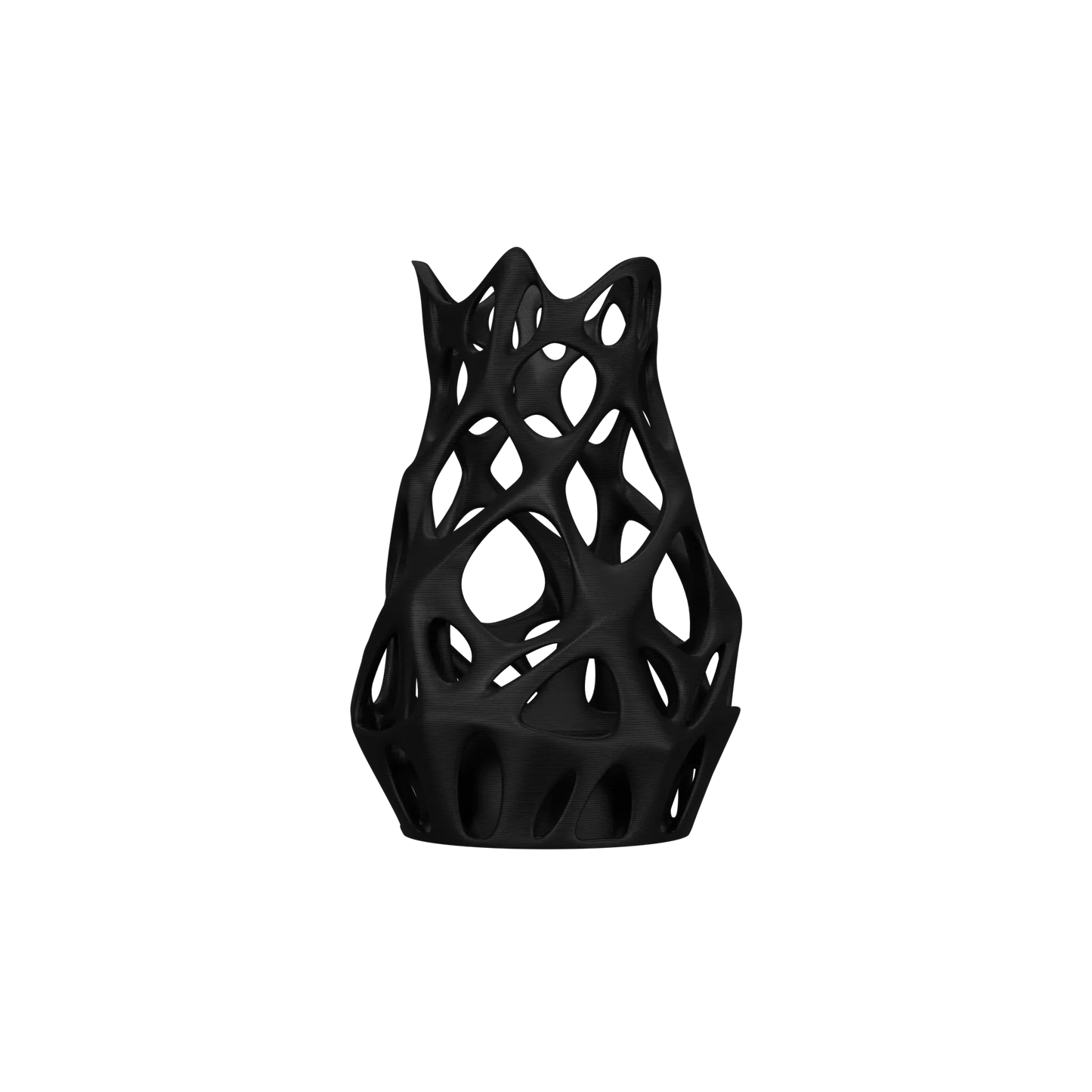 Vase Fleurs Séchées Prime