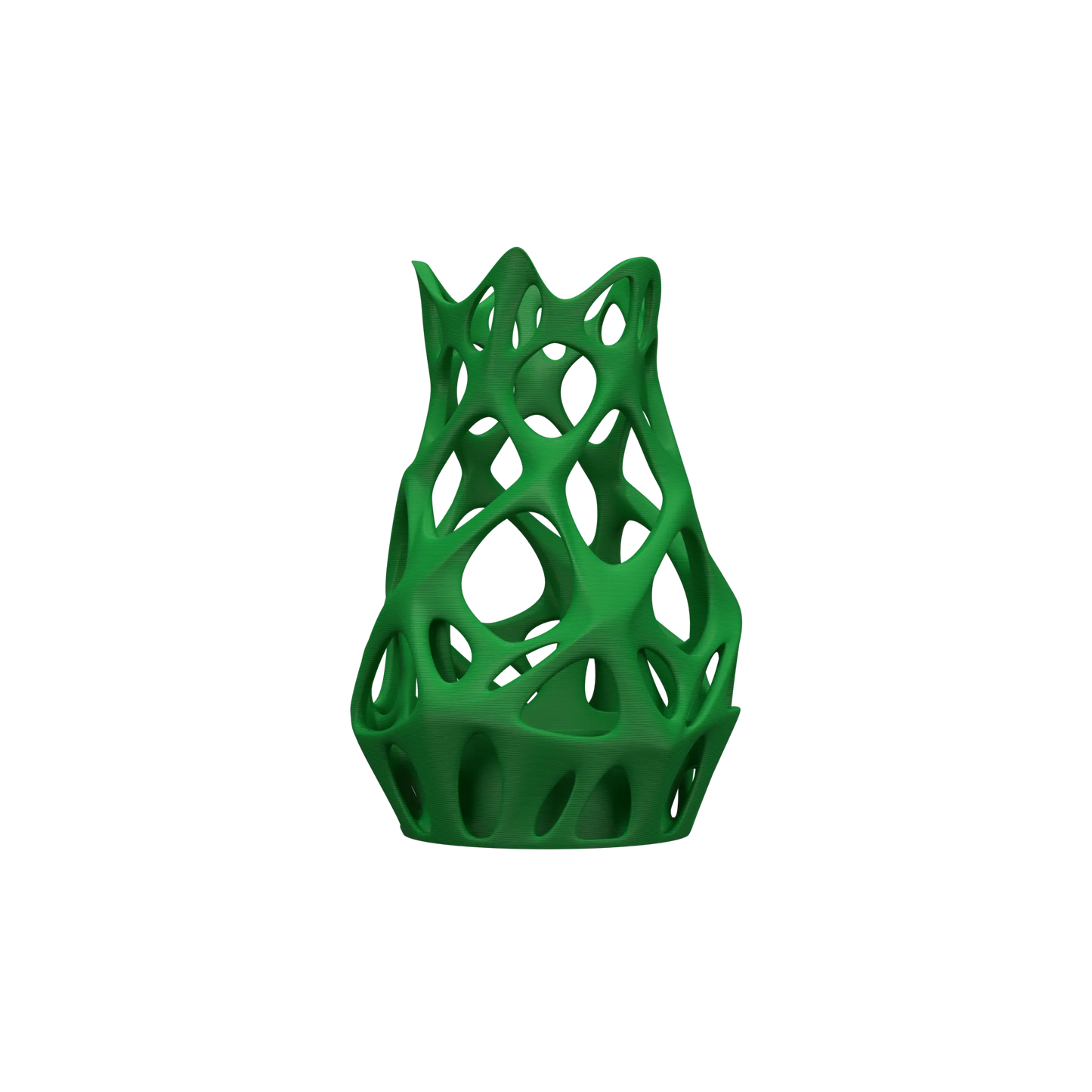 Vase Fleurs Séchées Prime