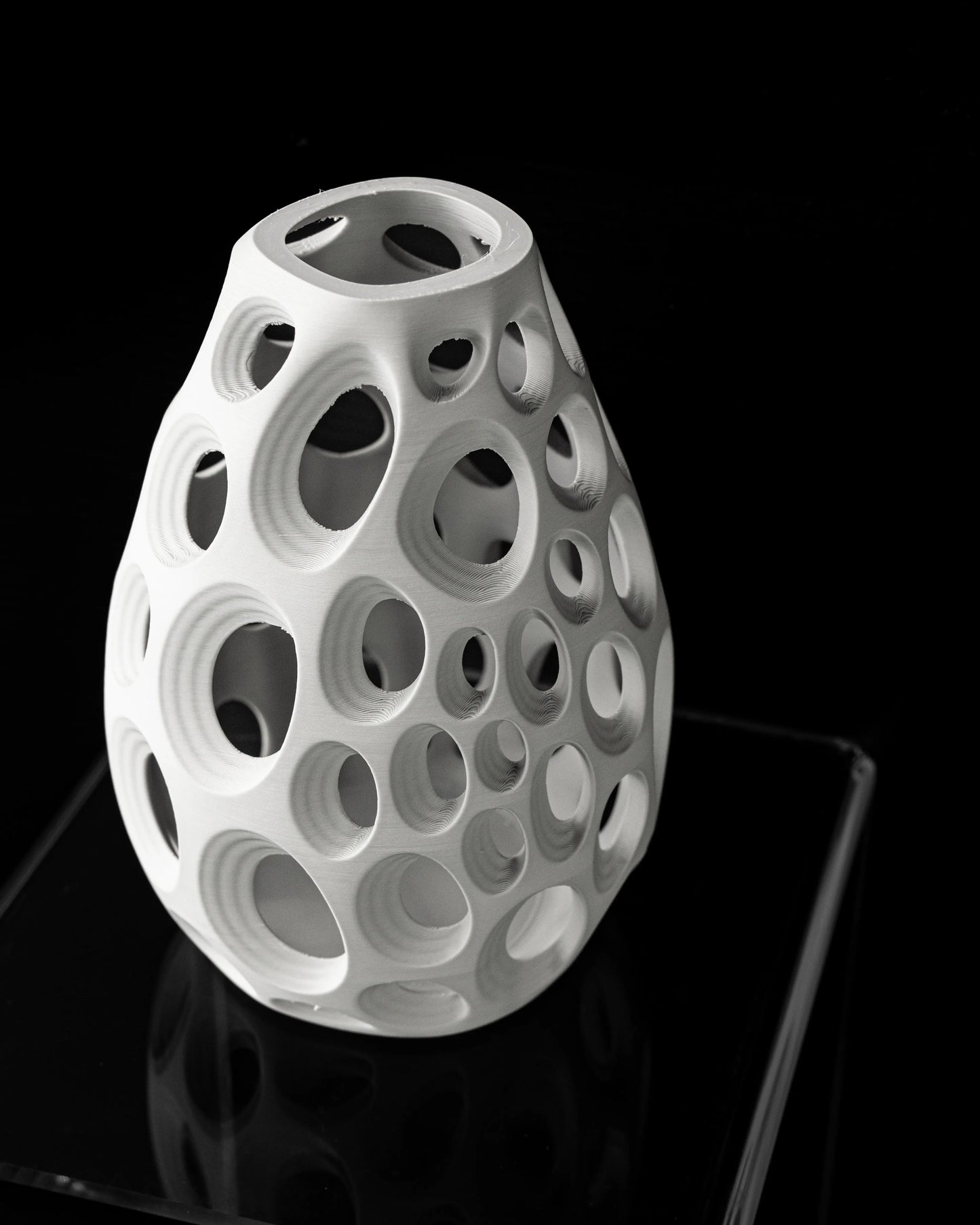 Vase Fleurs Séchées Ringo