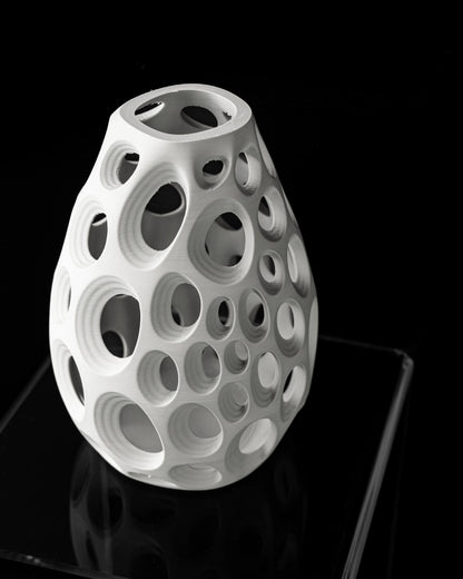 Vase Fleurs Séchées Ringo