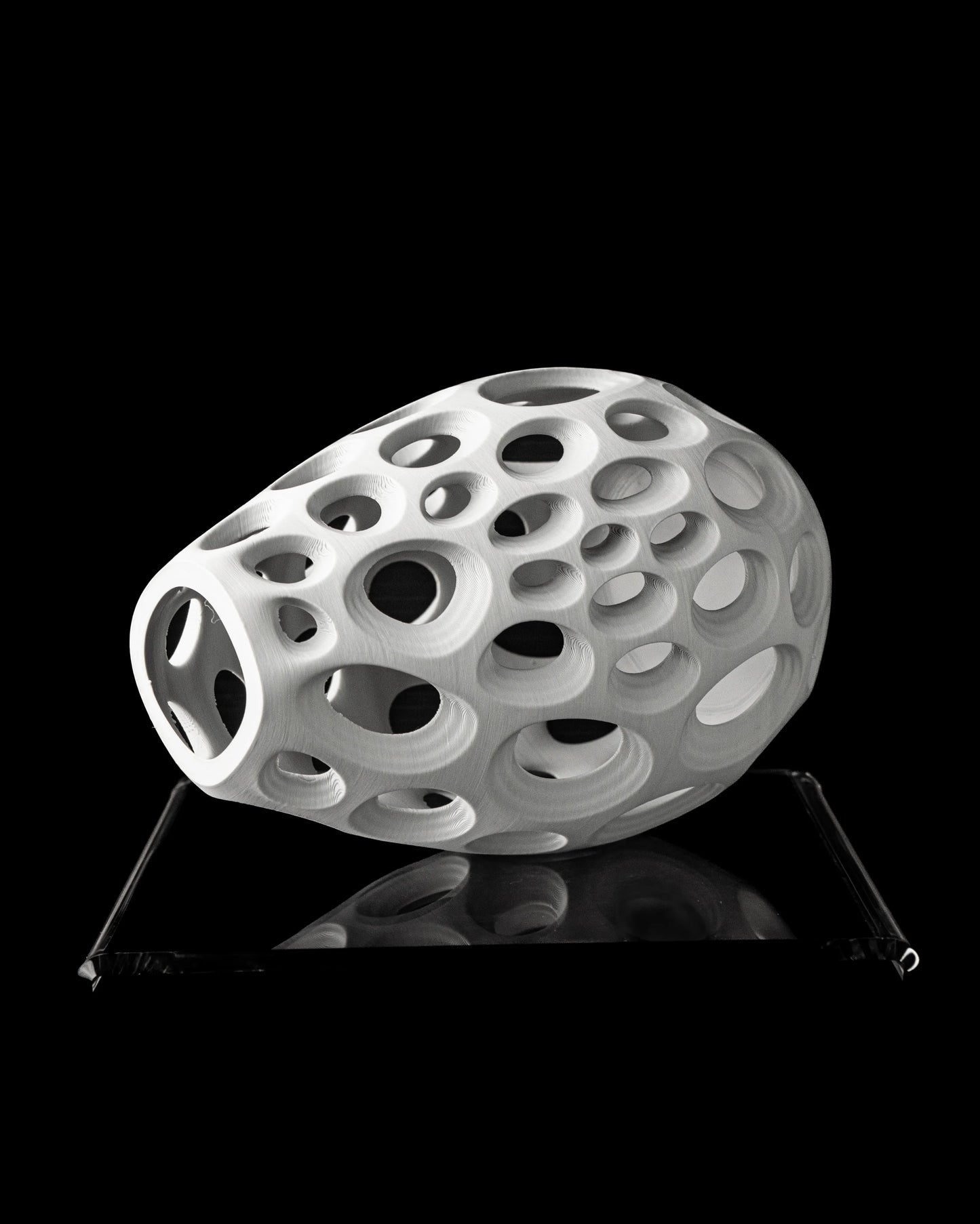 Vase Fleurs Séchées Ringo