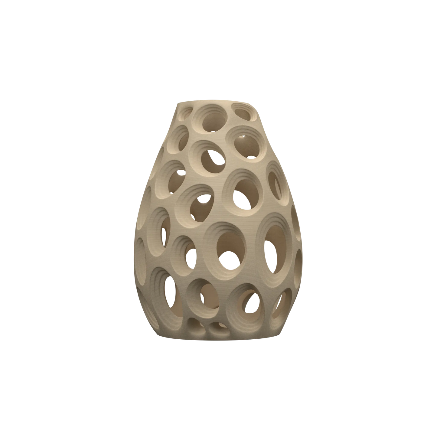 Vase Fleurs Séchées Ringo