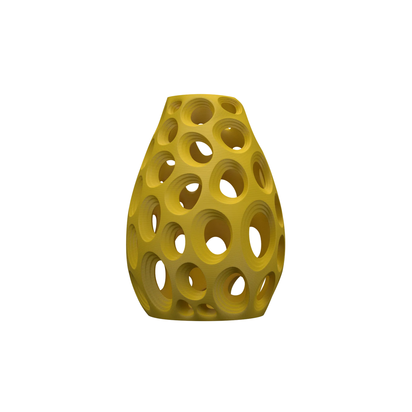 Vase Fleurs Séchées Ringo