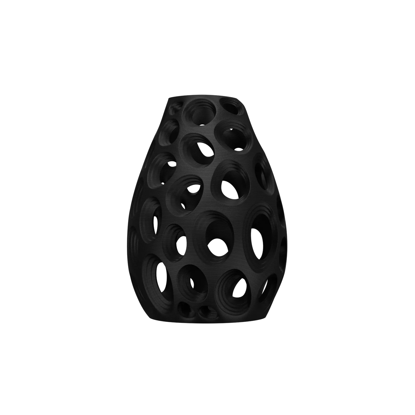 Vase Fleurs Séchées Ringo