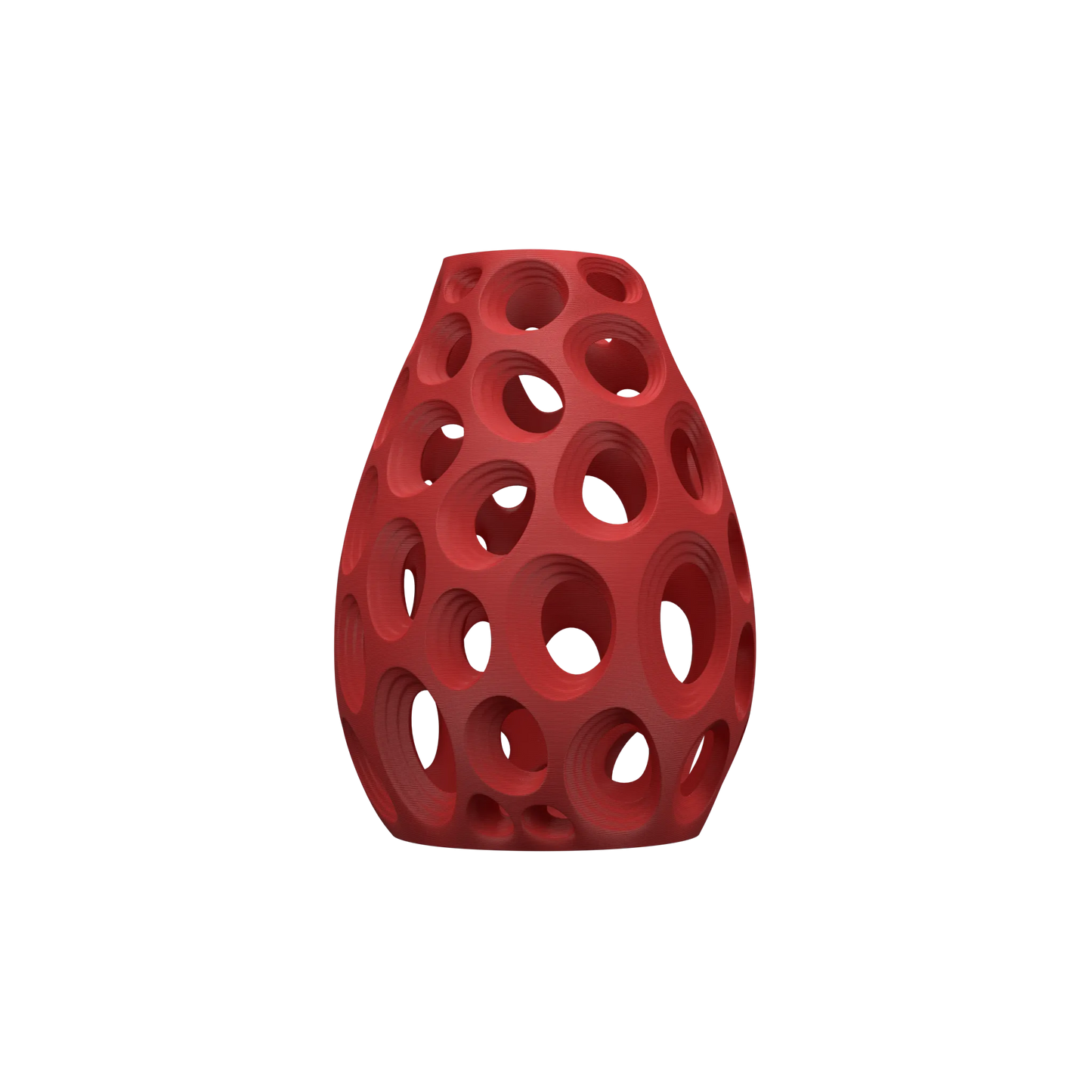 Vase Fleurs Séchées Ringo