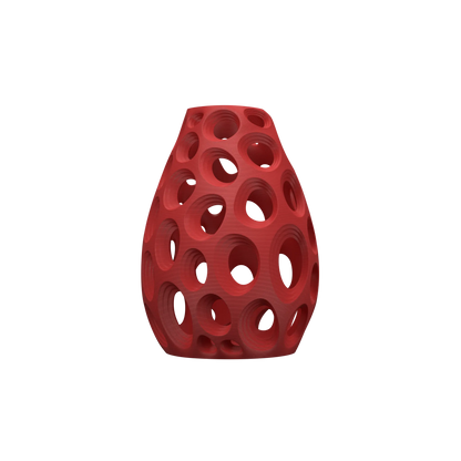 Vase Fleurs Séchées Ringo