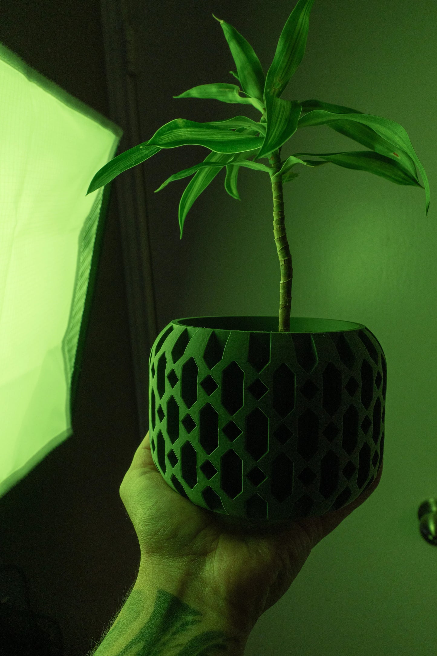 Pot décoratif Ritar