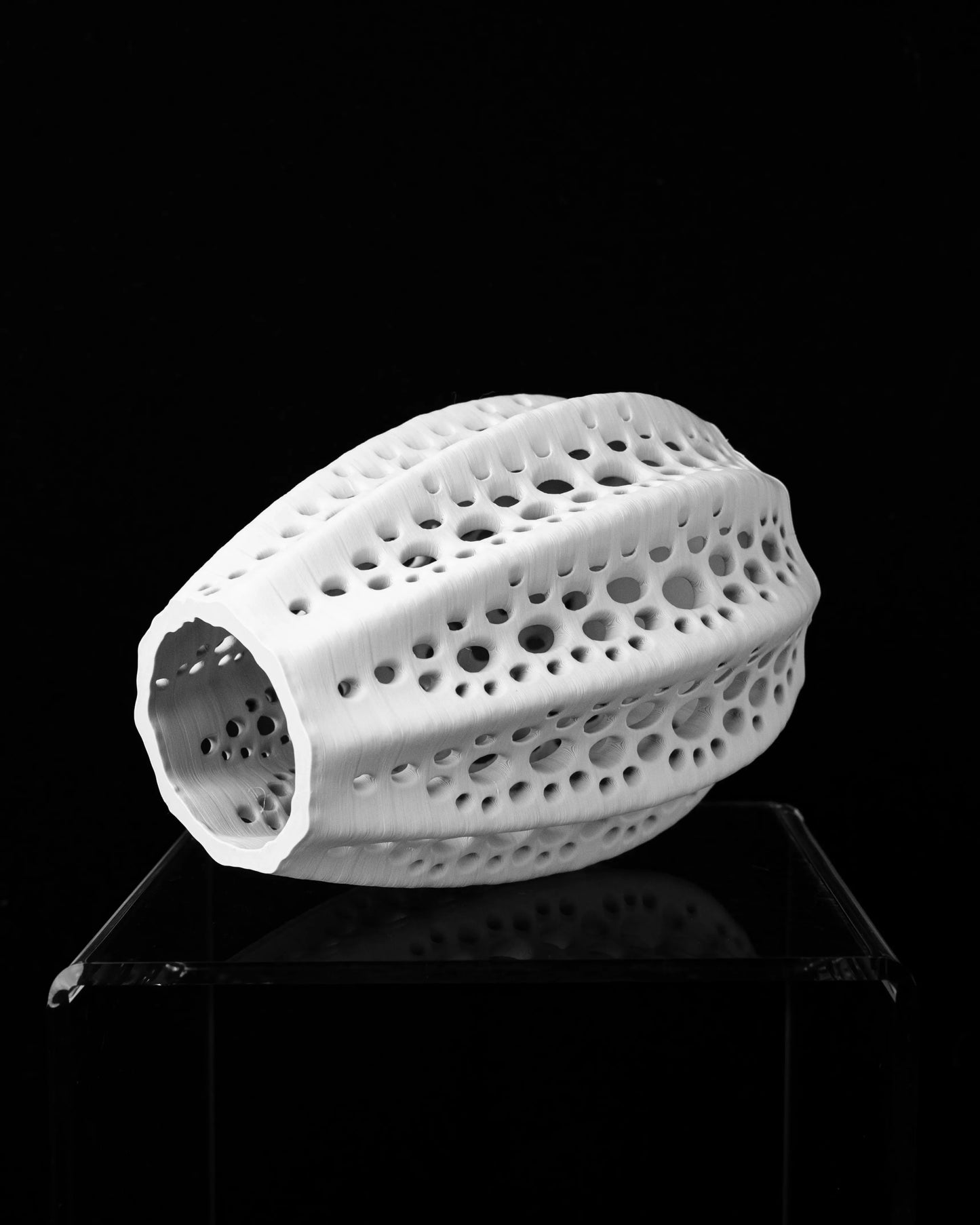 Vaso di fiori secchi di conchiglie 