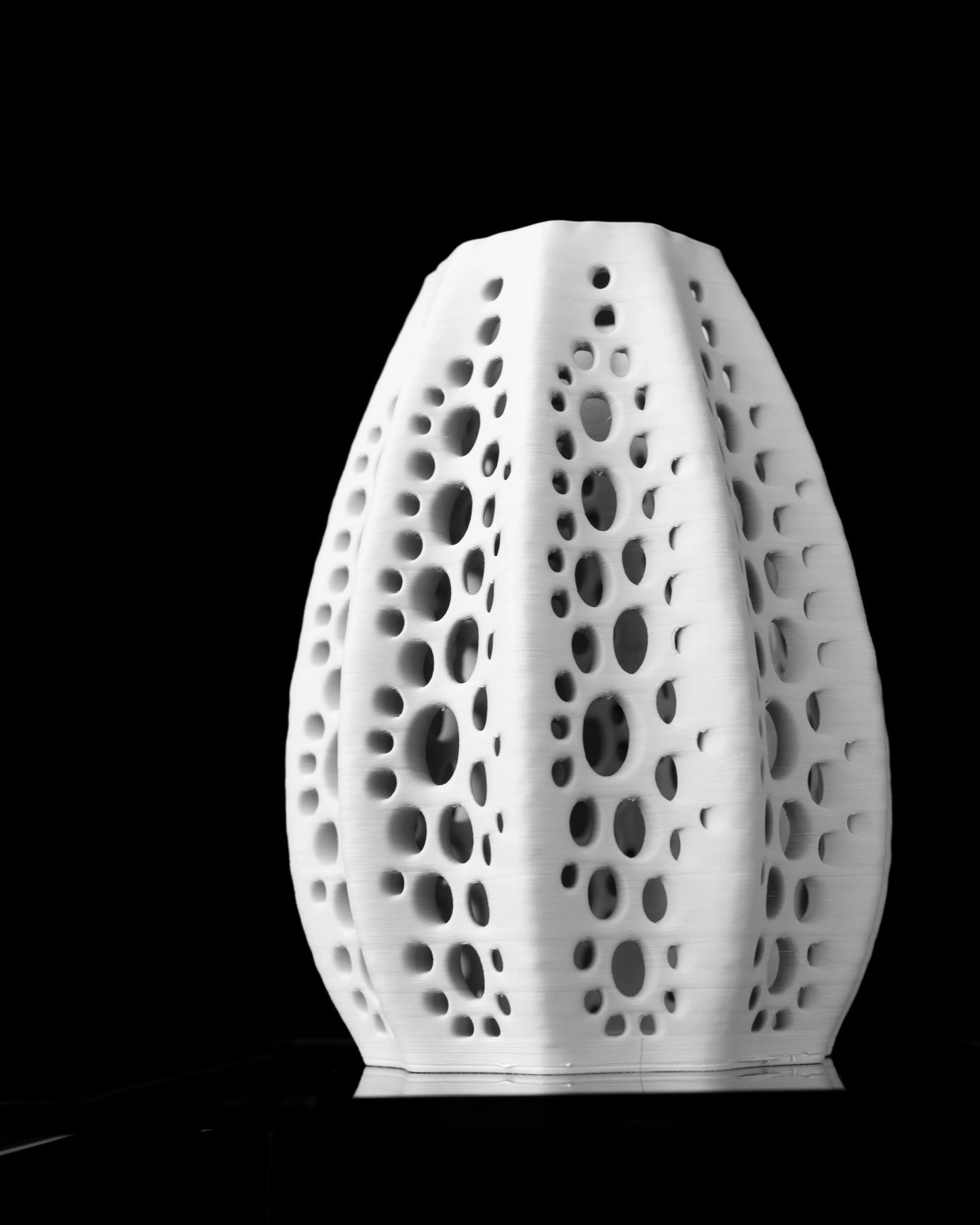 Vaso di fiori secchi di conchiglie 