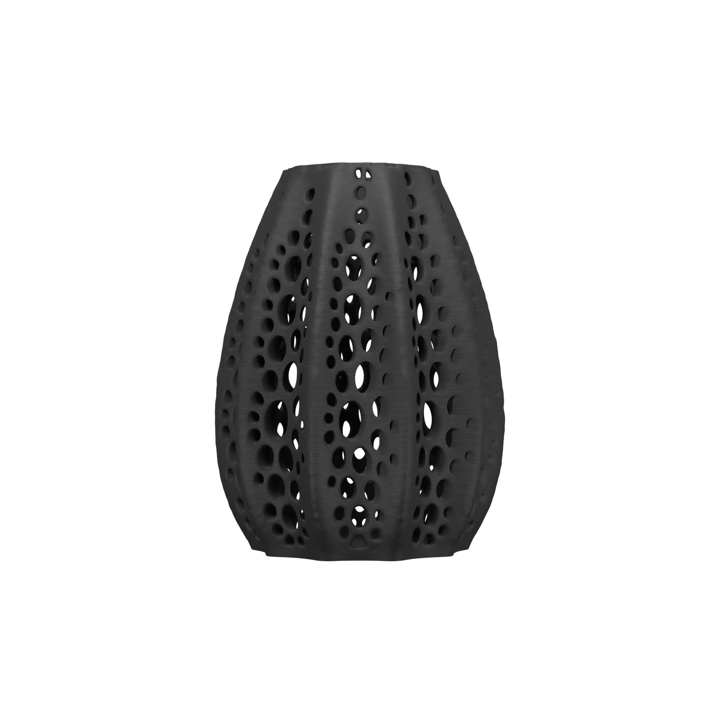 Vaso di fiori secchi di conchiglie 