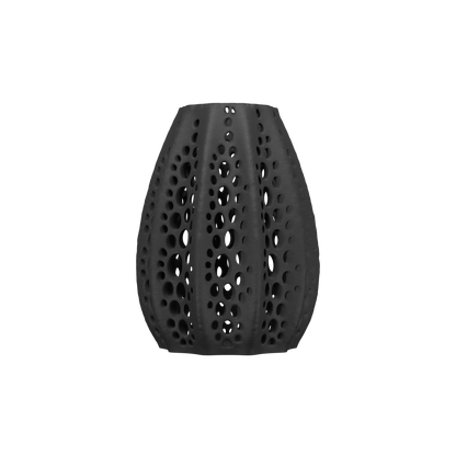 Vaso di fiori secchi di conchiglie 