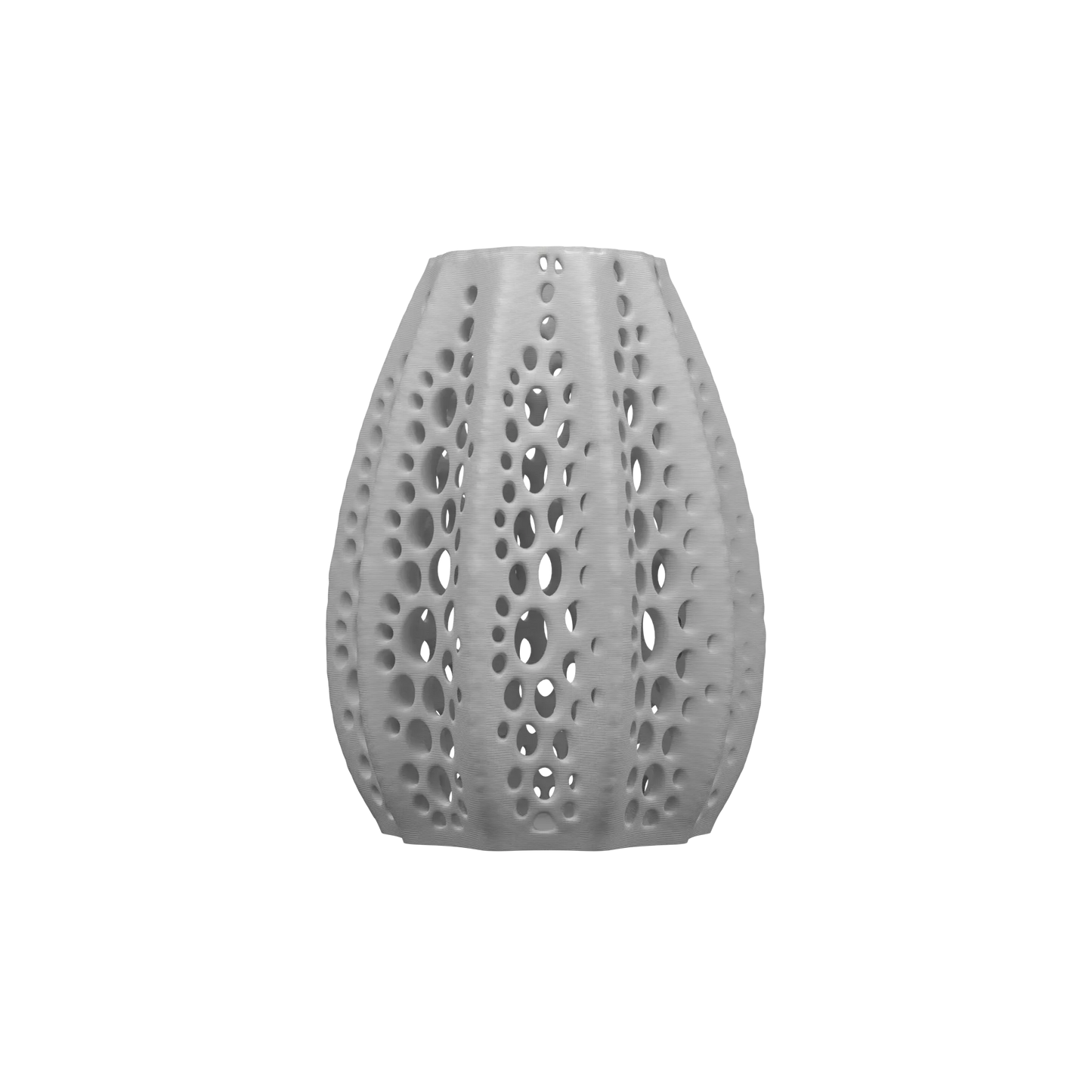 Vaso di fiori secchi di conchiglie 