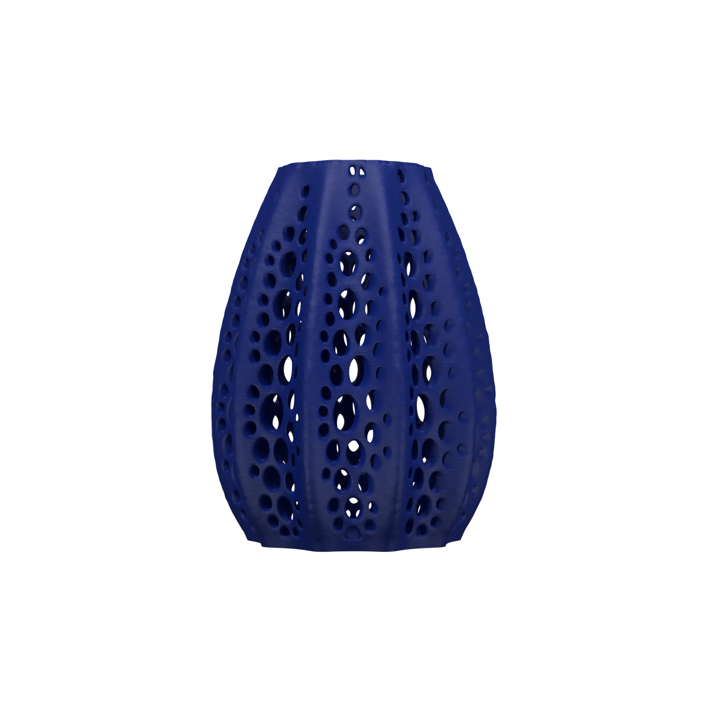 Vaso di fiori secchi di conchiglie 