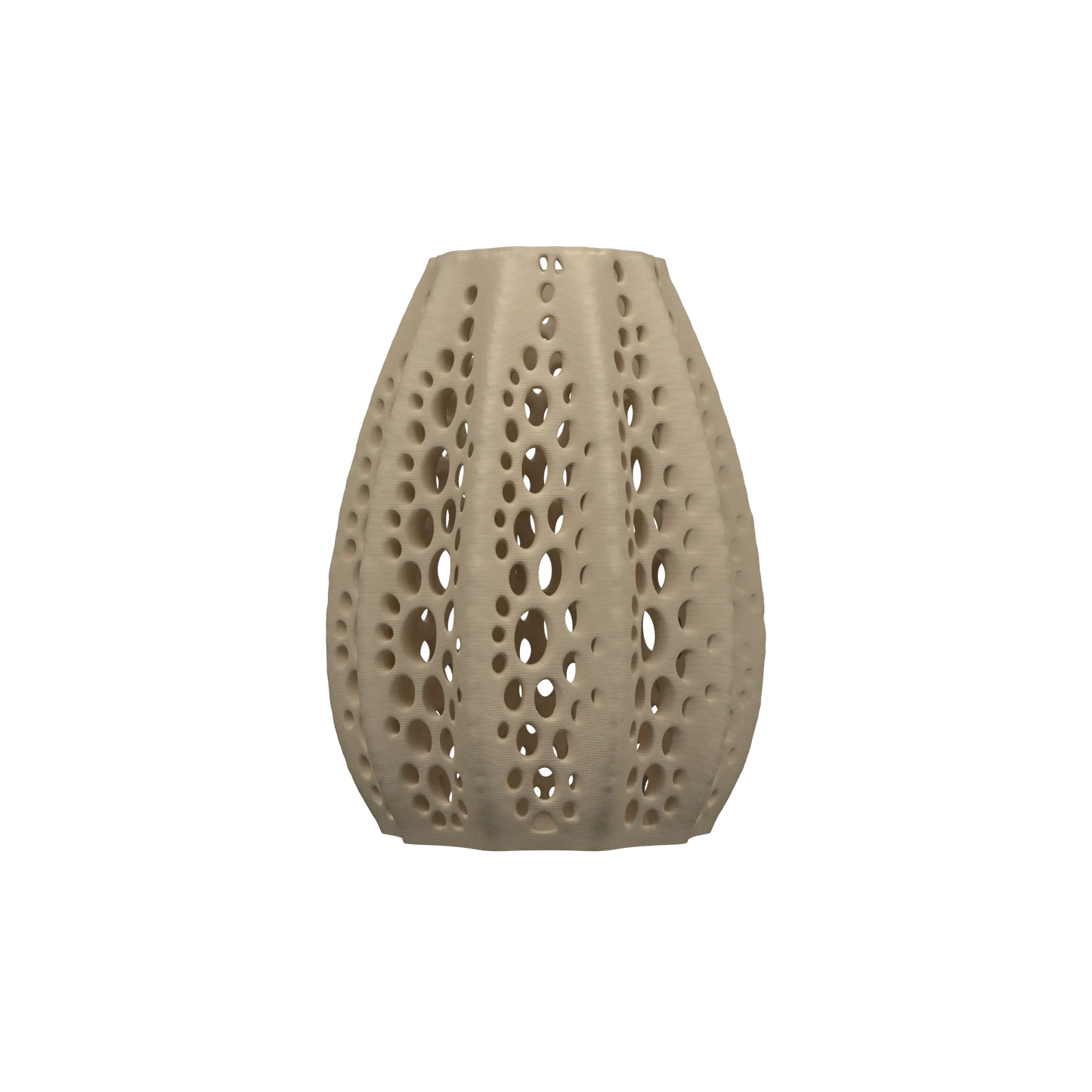 Vaso di fiori secchi di conchiglie 