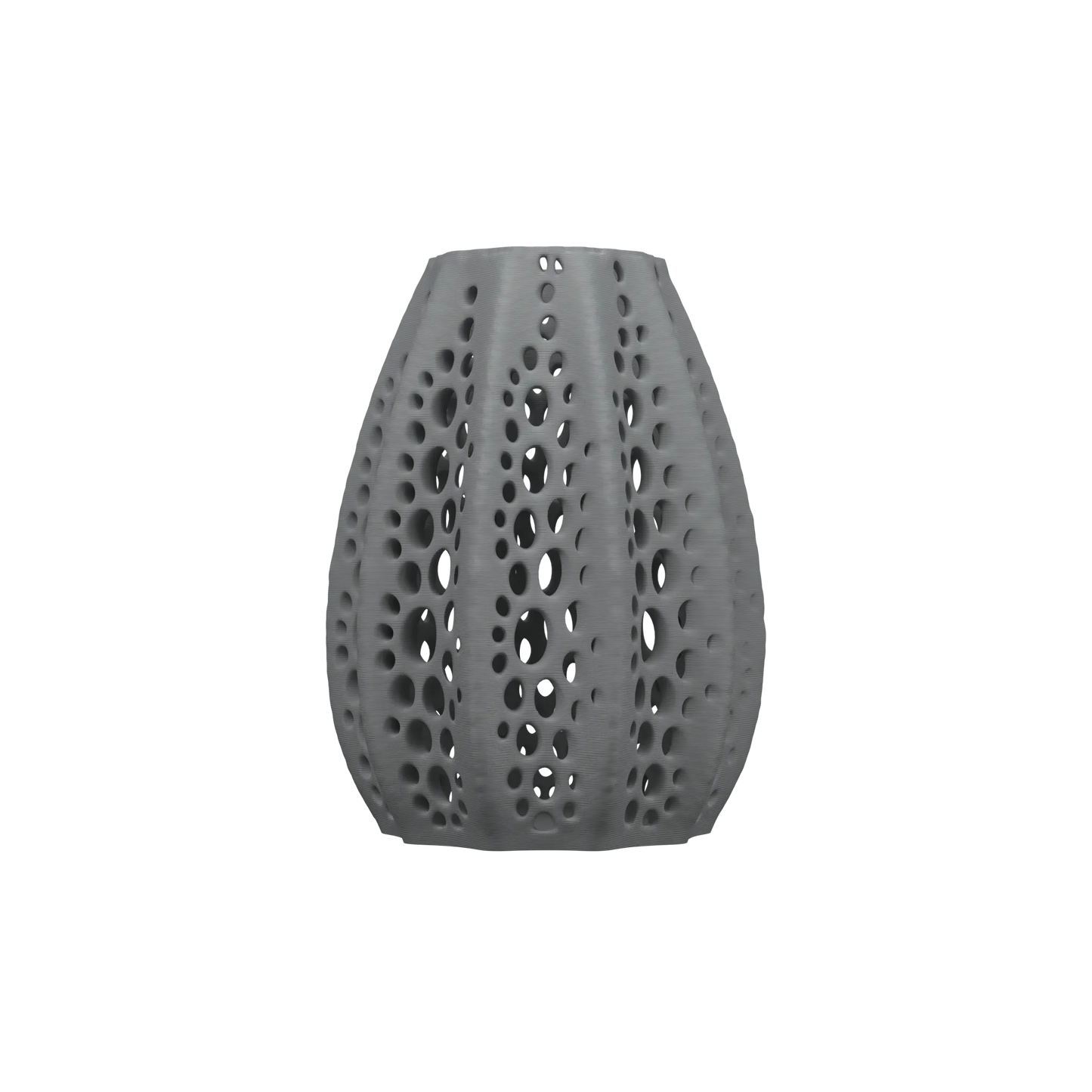 Vaso di fiori secchi di conchiglie 