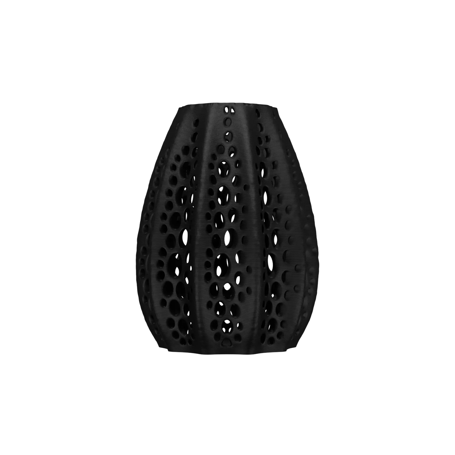 Vaso di fiori secchi di conchiglie 