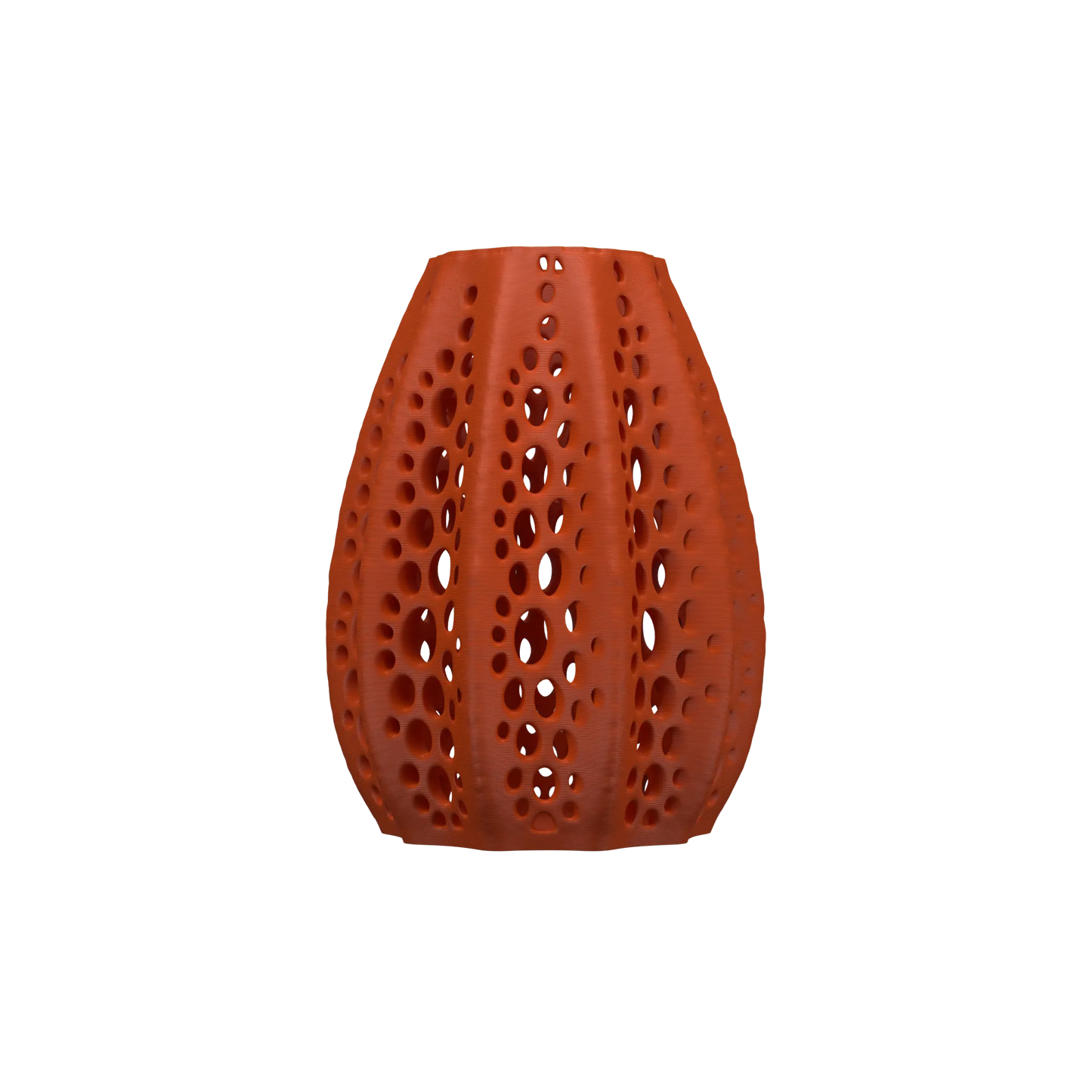 Vaso di fiori secchi di conchiglie 