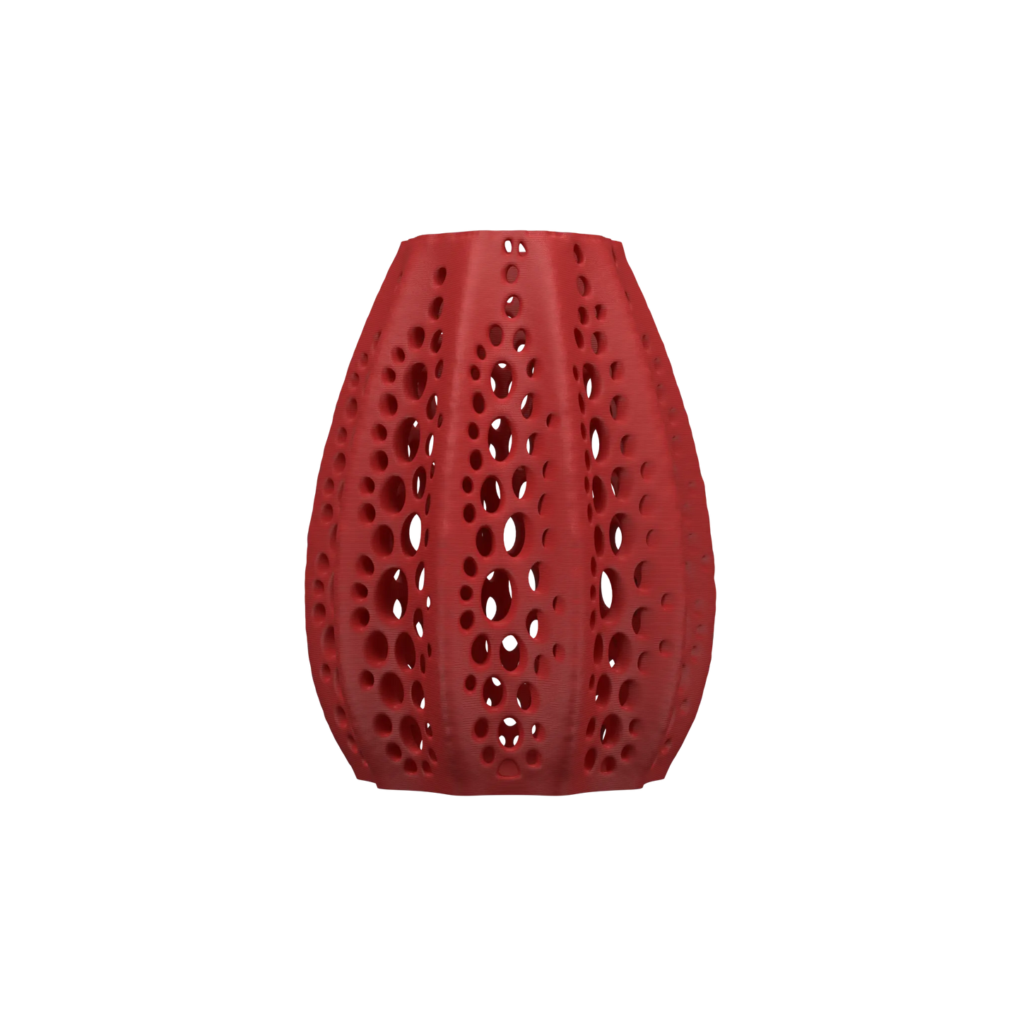 Vaso di fiori secchi di conchiglie 