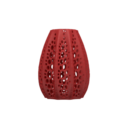 Vaso di fiori secchi di conchiglie 