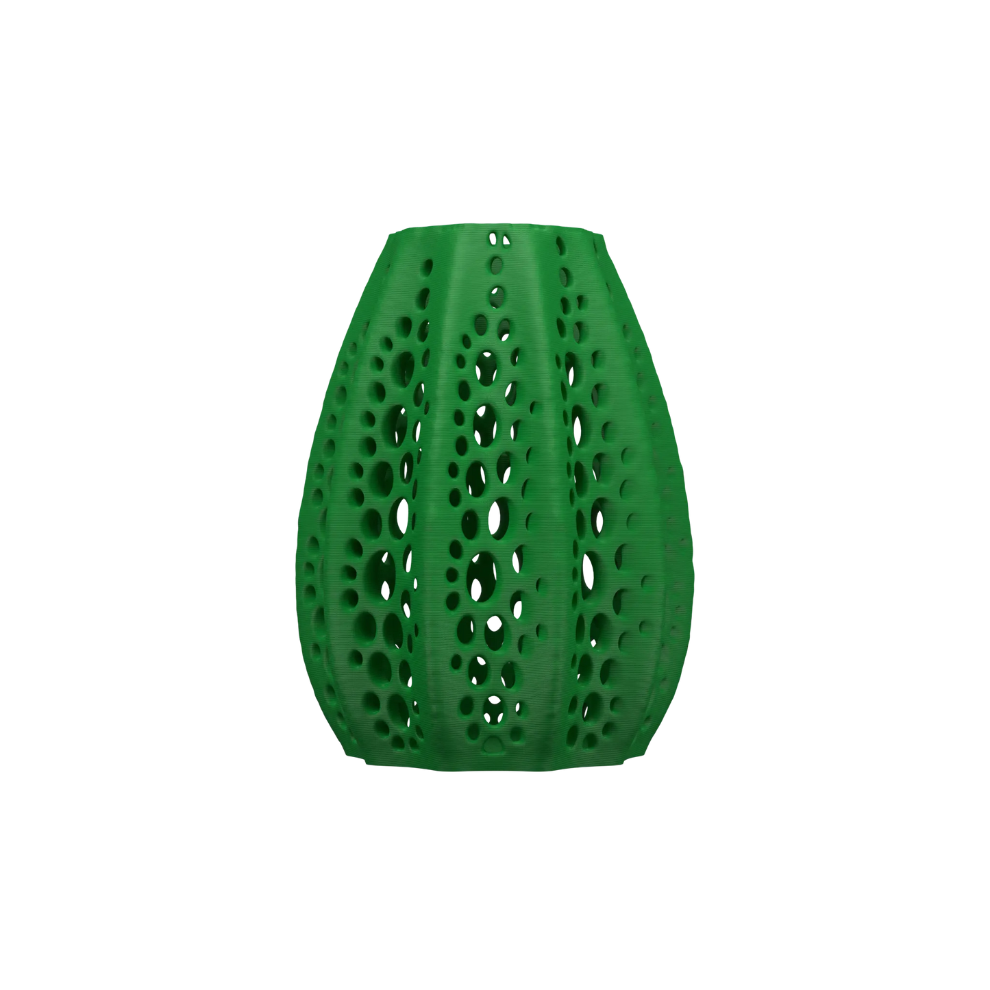 Vaso di fiori secchi di conchiglie 