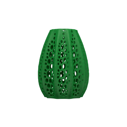 Vaso di fiori secchi di conchiglie 