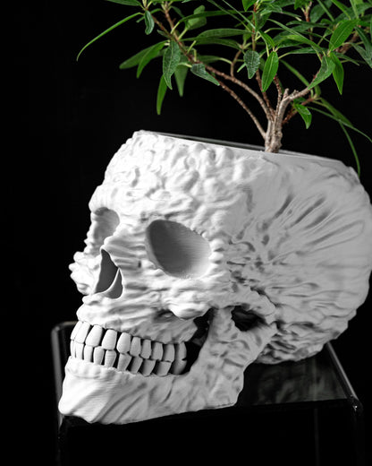 Pot décoratif en forme de crâne blanc texturé avec détails réalistes, contenant une plante verte.