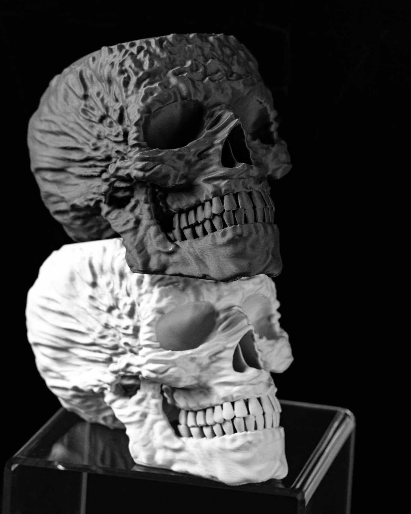 Pot décoratif en forme de crâne humain, finition texturée, disponible en noir et blanc, posé sur un socle transparent.