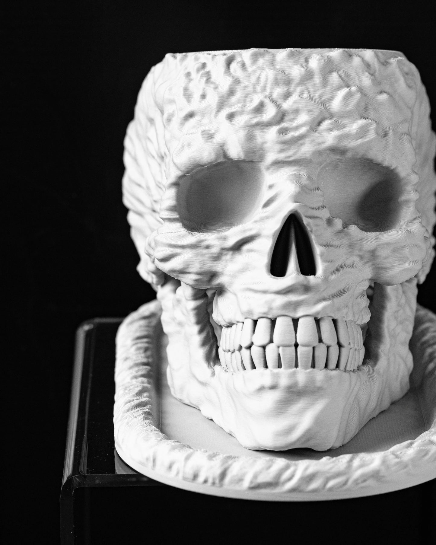 Pot décoratif blanc en forme de crâne texturé avec détails réalistes des dents et cavités oculaires, posé sur un support.