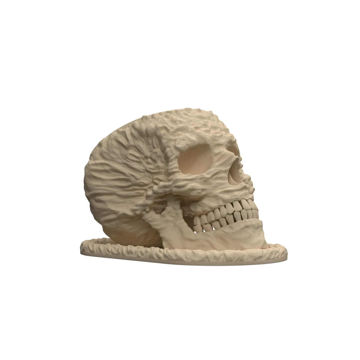 Pot décoratif en forme de crâne beige texturé, aspect os sculpté, design moderne et détaillé.