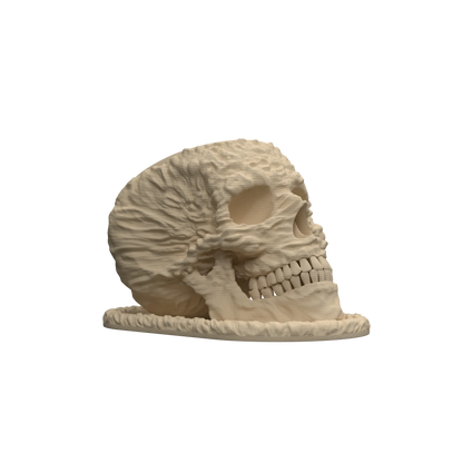 Pot décoratif en forme de crâne beige texturé, aspect os sculpté, design moderne et détaillé.