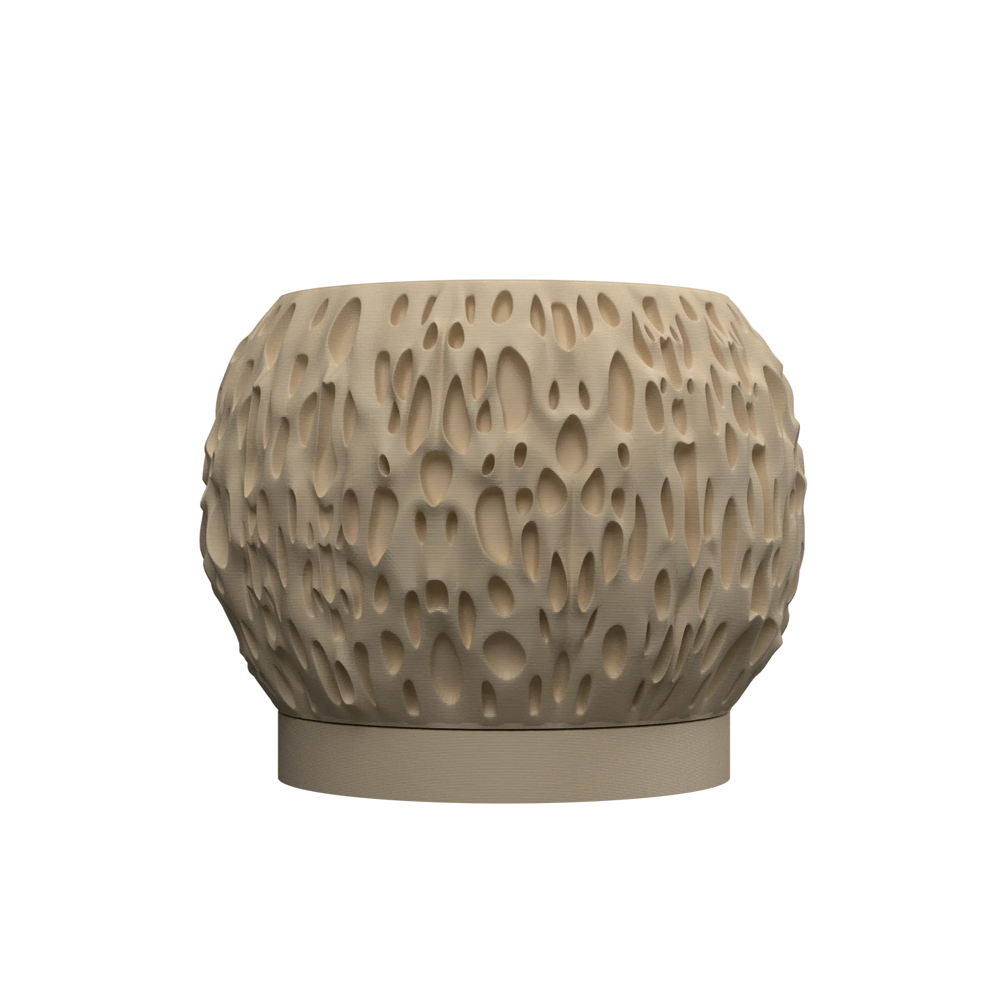 Vase Fleurs Séchées Spotted