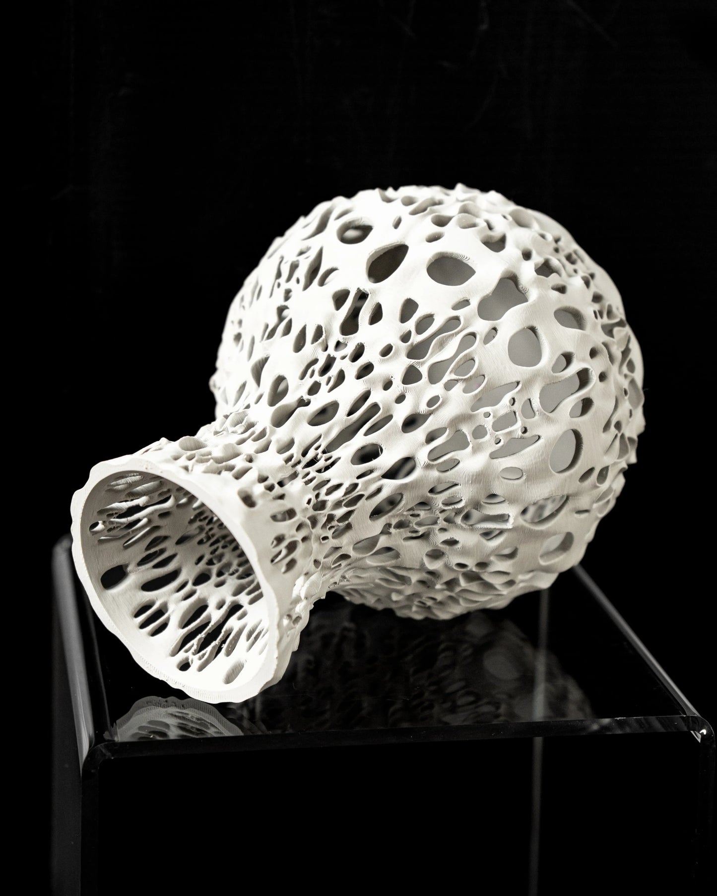 Vase Fleurs Séchées Spotted